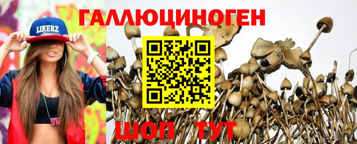 купить  цена  Вход с VPN  Сафоново  Псилоцибиновые грибы Cubensis 
